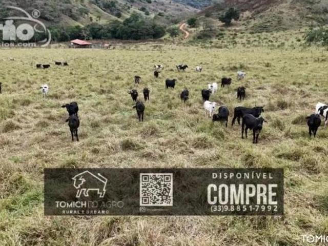 Casa venda em Região Geográfica Imediata de Teófilo Otoni, Teófilo Otoni