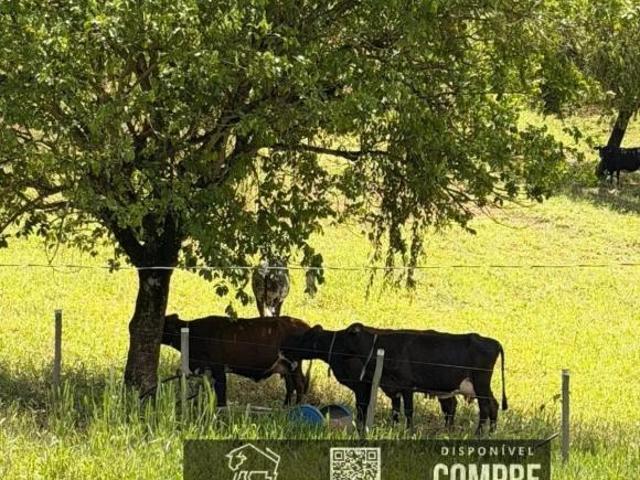 Casa venda em Região Geográfica Imediata de Teófilo Otoni, Teófilo Otoni
