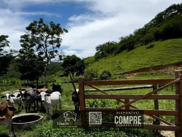 Casa venda em Região Geográfica Imediata de Teófilo Otoni, Teófilo Otoni