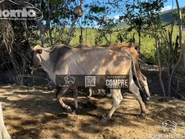 Casa venda em Região Geográfica Imediata de Teófilo Otoni, Teófilo Otoni