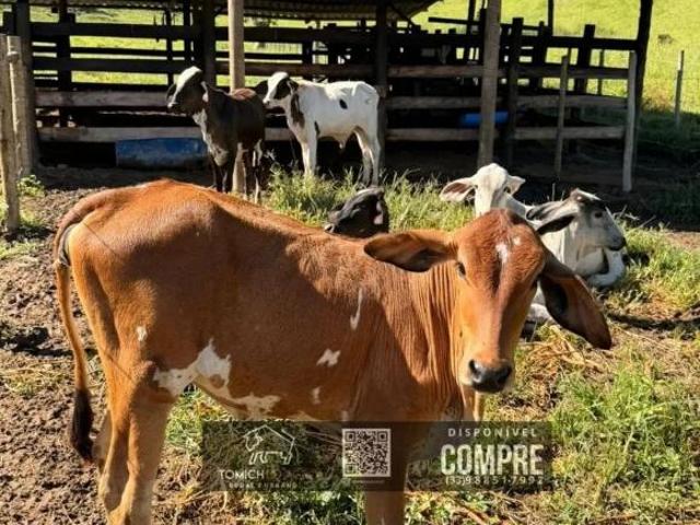Casa venda em Região Geográfica Imediata de Teófilo Otoni, Teófilo Otoni