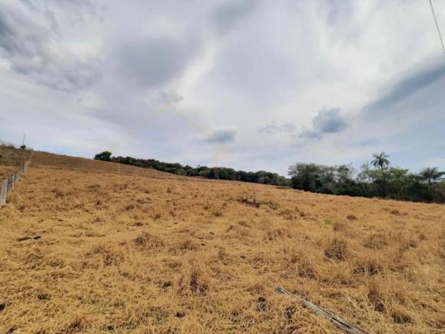 Terreno venda em Regional Centro-Sul, Belo Horizonte