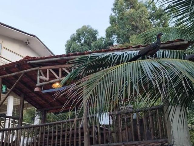 Casa venda em Região Geográfica Imediata de Ipatinga, Região Metropolitana do Vale do Aço