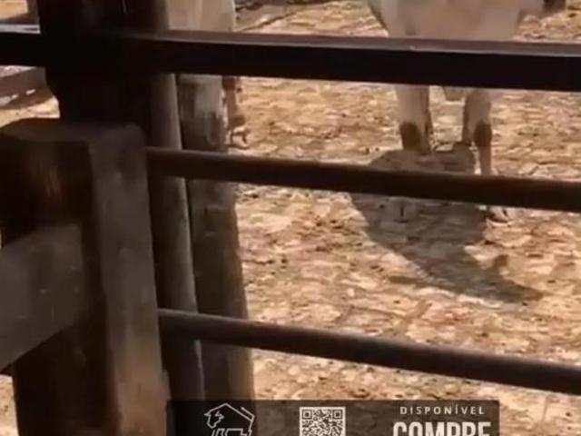 Casa venda em Região Geográfica Imediata de Teófilo Otoni, Campanário