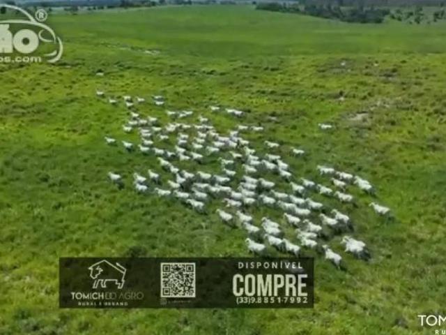 Casa venda em Região Geográfica Imediata de Teófilo Otoni, Carlos Chagas