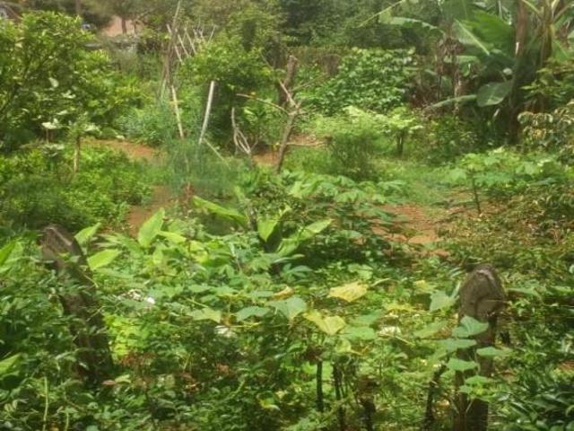 Casa venda em Região Geográfica Imediata de Poços de Caldas, Caldas
