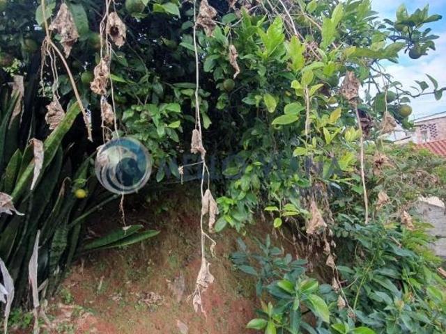 Casa venda em Região Geográfica Imediata de Juiz de Fora, Juiz de Fora