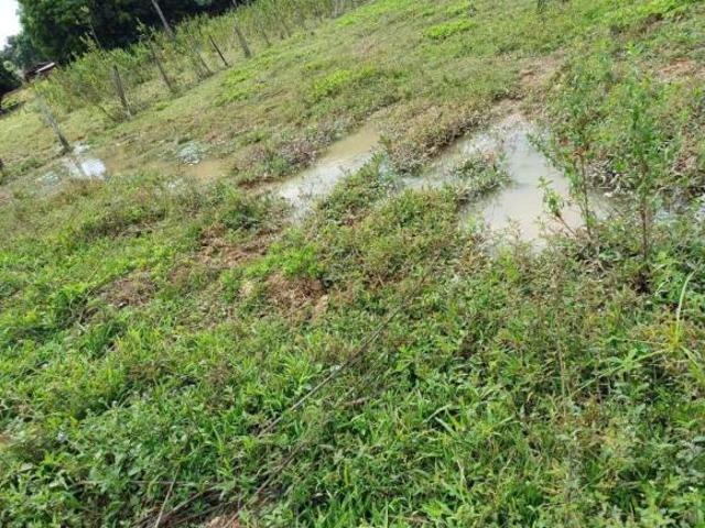 Casa venda em Região Geográfica Imediata de Divinópolis, Pitangui