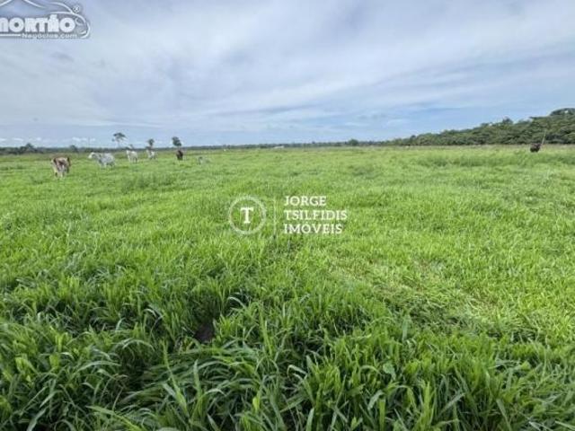 Casa venda em Região Geográfica Imediata de Sinop, Colider