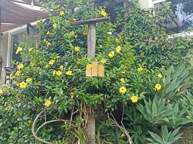 Casa venda em Floresta, Juiz de Fora