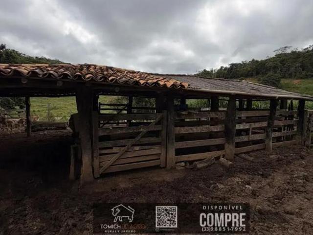 Casa venda em Região Geográfica Imediata de Teófilo Otoni, Frei Gaspar