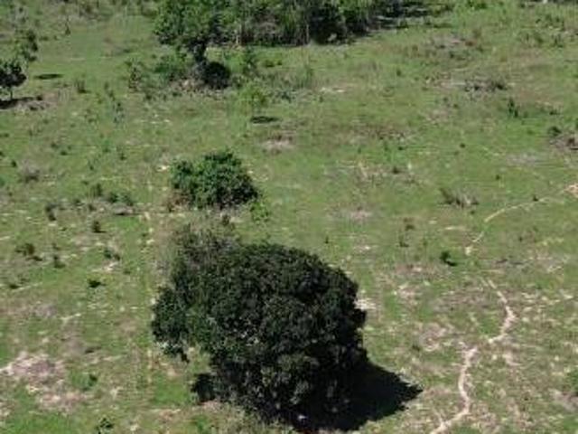 Casa venda em Guarantã do Norte, Região Geográfica Intermediária de Sinop