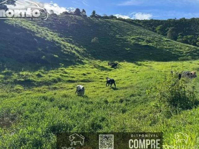 Casa venda em Joaíma, Região Sudeste