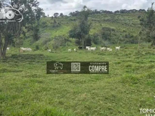 Casa venda em Joaíma, Região Sudeste