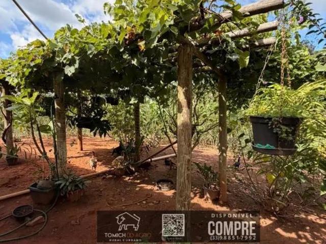 Casa venda em Região Geográfica Imediata de Teófilo Otoni, Malacacheta