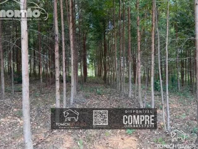Casa venda em Chapada do Norte, Região Sudeste