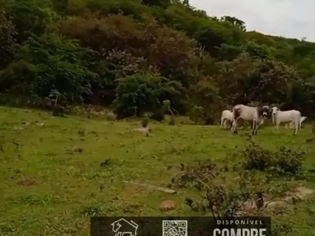 Casa venda em Pedra Azul, Região Sudeste