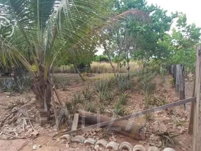 Casa venda em Região Geográfica Imediata de Sinop, Sinop