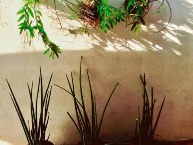 Casa venda em Ubatuba