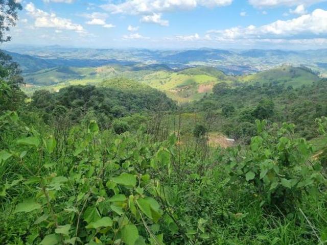 Sítio e chácara venda em Região Geográfica Imediata de Pouso Alegre, Senador Amaral