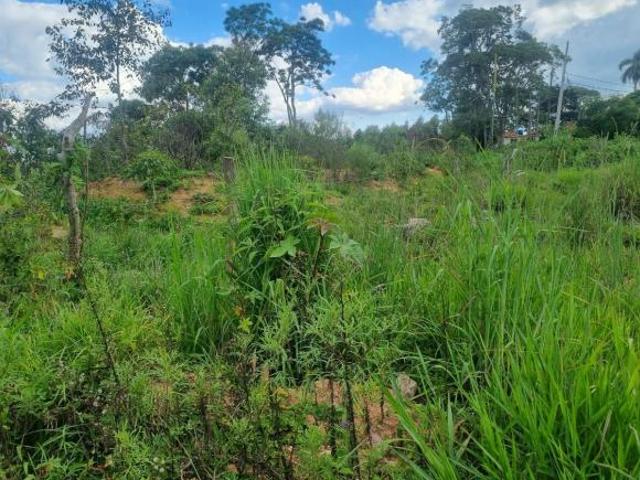 Sítio e chácara venda em Senador Amaral, Região Geográfica Intermediária de Pouso Alegre