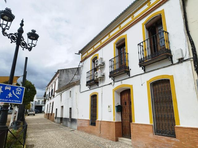 Chalet en venta en Almadén De La Plata, Andalucía