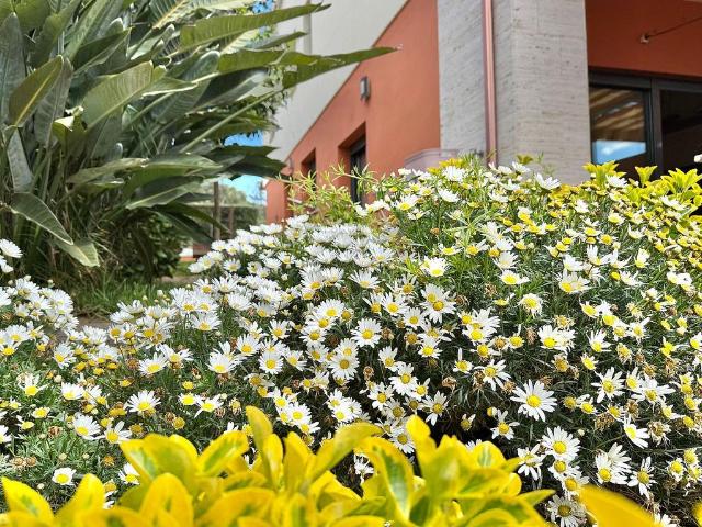 Chalet en venta en Sant Joan de Palamós, Baix Empordà