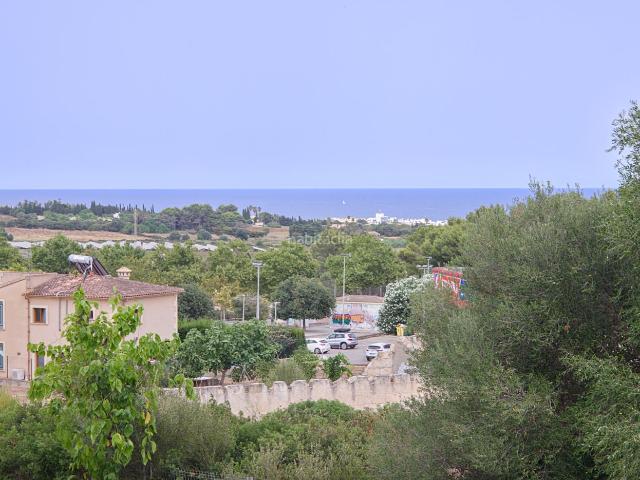 Chalet en venta en Son Servera, Illes Balears