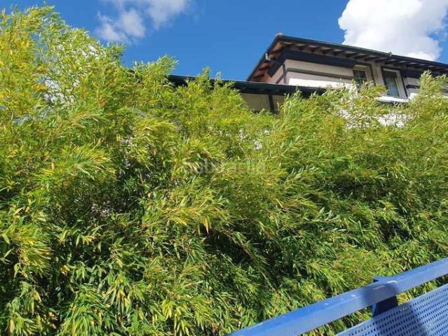 Chalet en venta en Ibaiondo, Bilbao