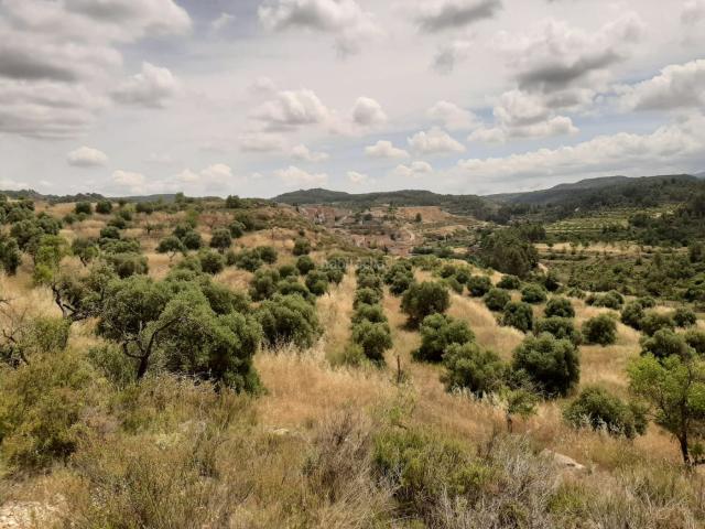 Chalet en venta en Garrigues, Catalunya