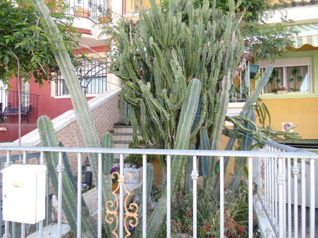 Chalet en venta en Vega Media del Segura, Murcia