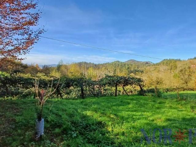 Casa en venta en Ereño, Guipúzcoa