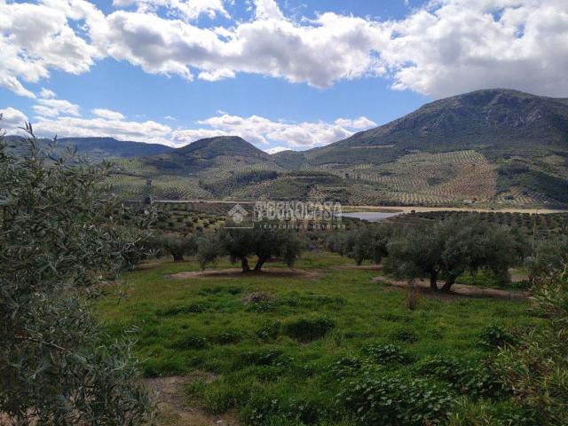 Chalet en venta en Martos, Andalucía
