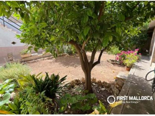 Chalet en venta en Raiguer, Baleares