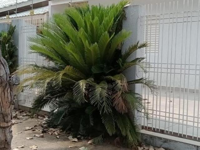Casa venda em Região Geográfica Imediata de Umuarama, Região Metropolitana de Umuarama