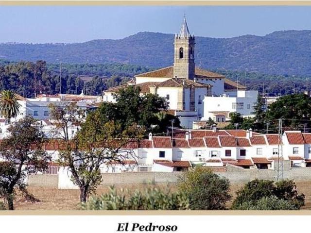 Casa en venta en El Pedroso, Andalucía