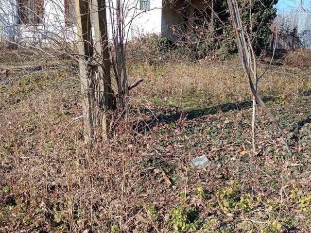 Casă vânzări în Petrachioaia, București