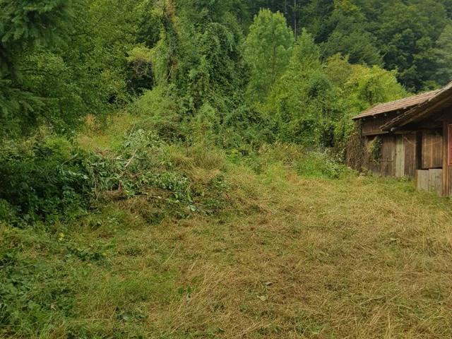 Casă vânzări în Oituz, Bacău