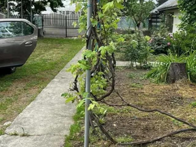 Casă vânzări în Matasaru, Dâmbovița
