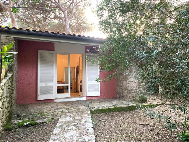 Appartamento in affitto a Marina di Castagneto Carducci, Bolgheri