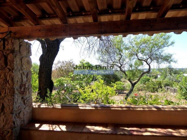 Quinta venda em Abrantes, Santarém
