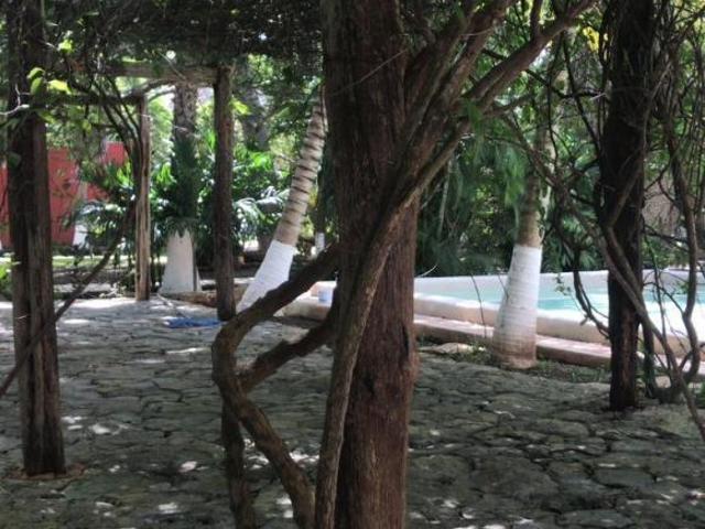 QUINTA EN VENTA CHICXULUB PUEBLO, YUCATÁN. MEDIA HECTAREA
