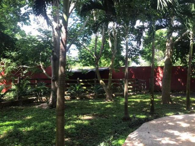 QUINTA EN VENTA CHICXULUB PUEBLO, YUCATÁN. MEDIA HECTAREA