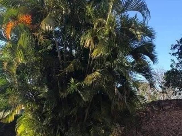 Casa Quinta en Venta en Peto Yucatán