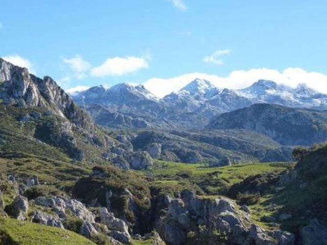 Casa en alquiler en Piloña, Asturias