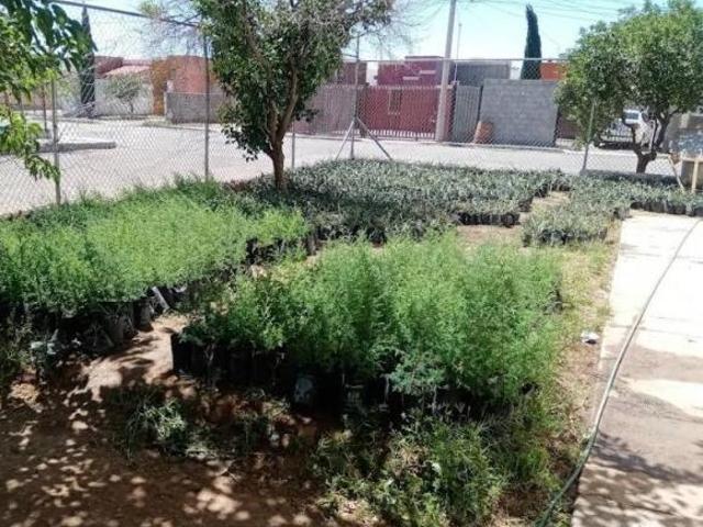 Remato casa en Río Chuviscar, col. Nuevo Casas Grandes, Chihuahua, Chihuahua
