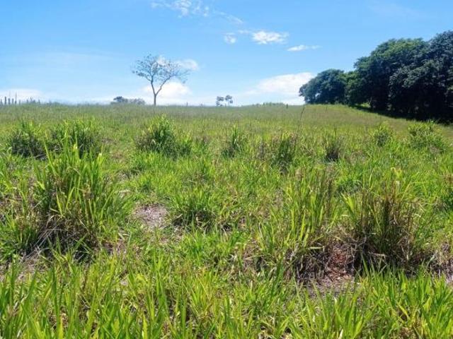 Sítio e chácara venda em Região Geográfica Imediata de São Sebastião do Paraíso, São Sebastião do Paraíso