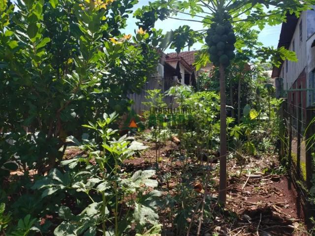 Casa venda em Região Geográfica Imediata de Londrina, Londrina