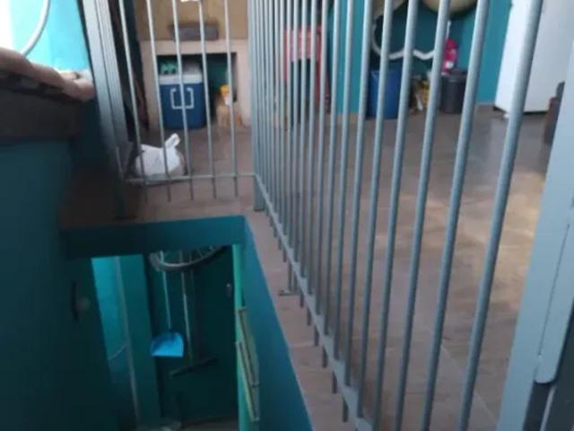 Casa venda em Região Imediata de São José dos Campos, Região Metropolitana do Vale do Paraíba e Litoral Norte
