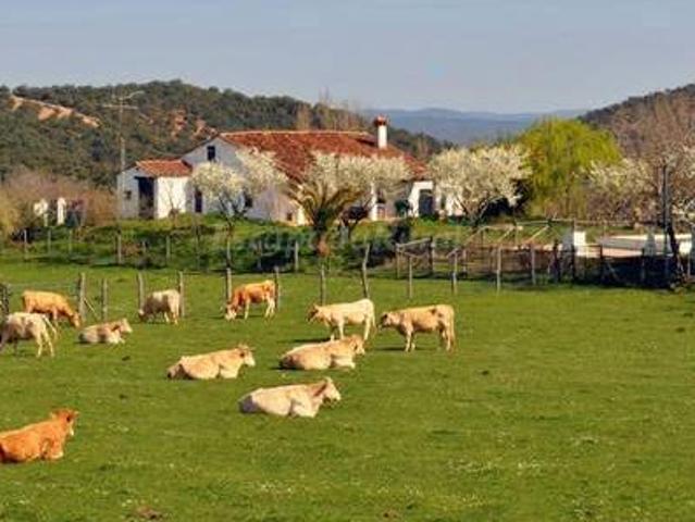 Casa en alquiler en Sierra de Huelva, Andalucía